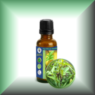 Black Peppercorn (Black Pepper, Piper Nigrum) Essential Oil