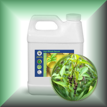 Black Peppercorn (Black Pepper, Piper Nigrum) Essential Oil