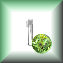 Black Peppercorn (Black Pepper, Piper Nigrum) Essential Oil