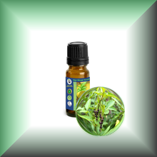 Black Peppercorn (Black Pepper, Piper Nigrum) Essential Oil