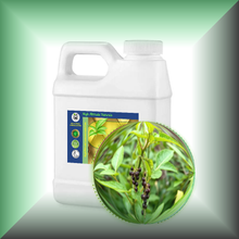 Black Peppercorn (Black Pepper, Piper Nigrum) Essential Oil