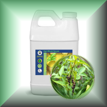 Black Peppercorn (Black Pepper, Piper Nigrum) Essential Oil