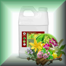 Blossom Groves™ Citrus-Floral Antioxidant Body Massage Oil for Glowing Skin in a 64 fl oz jug, bulk.