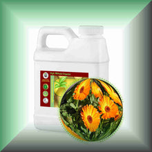 Calendula Herbal Oil Extract Infused 16oz 1lb
