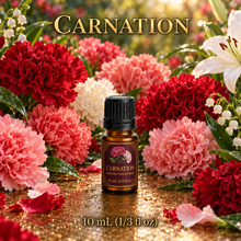 Carnation Perfume & Cologne Concentrate – Spicy Green Floral, Lily & Clove | Oil-Soluble - 10m glass bottle with euro dropper.