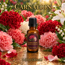 Carnation Perfume & Cologne Concentrate – Spicy Green Floral, Lily & Clove | Oil-Soluble - 1oz glass bottle with euro dropper.