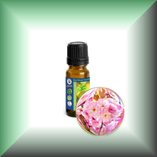 Cherry Blossom Absolute Essential Oil (Prunus serrulata)
