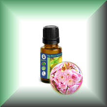 Cherry Blossom Absolute Essential Oil (Prunus serrulata)