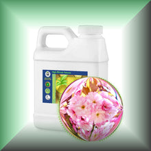Cherry Blossom Absolute Essential Oil (Prunus serrulata)
