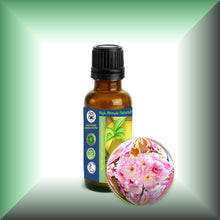 Cherry Blossom Absolute Essential Oil (Prunus serrulata)