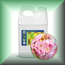 Cherry Blossom Absolute Essential Oil (Prunus serrulata)