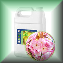 Cherry Blossom Absolute Essential Oil (Prunus serrulata)