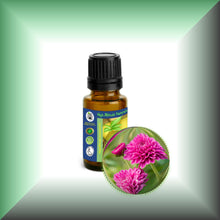 Chrysanthemum Essential Oil (Dendranthema Grandiflorum)