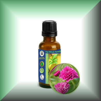 Chrysanthemum Essential Oil (Dendranthema Grandiflorum)