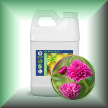 Chrysanthemum Essential Oil (Dendranthema Grandiflorum)