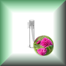 Chrysanthemum Essential Oil (Dendranthema Grandiflorum)