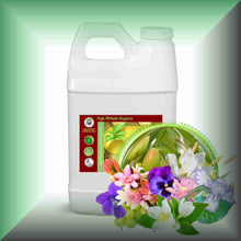Crescent Moon™ Lotus & Night-Blooming Floral Massage Oil in a 64 fl oz jug.