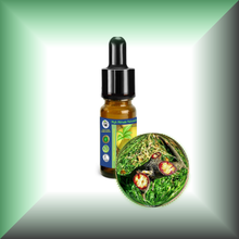 Pure Dragon’s Blood Liquid Resin – Croton Lechleri Sangre de Grado in a 10ml glass bottle with dropper