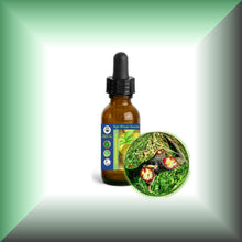 Pure Dragon’s Blood Liquid Resin – Croton Lechleri Sangre de Grado in a 15ml glass bottle with dropper.