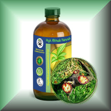 Pure Dragon’s Blood Liquid Resin – Croton Lechleri Sangre de Grado in a 16 fl oz glass bottle with cap.
