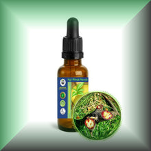 Pure Dragon’s Blood Liquid Resin – Croton Lechleri Sangre de Grado in a 1 fl oz glass bottle with dropper.
