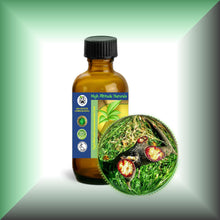 Pure Dragon’s Blood Liquid Resin – Croton Lechleri Sangre de Grado in a 2 fl oz glass bottle with cap.