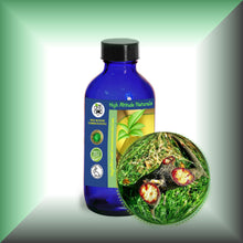 Pure Dragon’s Blood Liquid Resin – Croton Lechleri Sangre de Grado in a 4 fl oz glass bottle with cap.