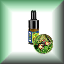 Pure Dragon’s Blood Liquid Resin – Croton Lechleri Sangre de Grado in a 5 ml glass bottle with dropper.