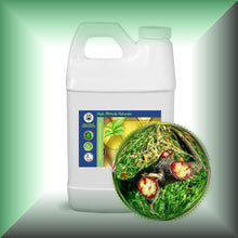 Pure Dragon’s Blood Liquid Resin – Croton Lechleri Sangre de Grado in a 64 fl oz jug.