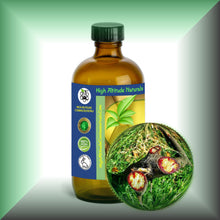 Pure Dragon’s Blood Liquid Resin – Croton Lechleri Sangre de Grado in a 8 fl oz glass bottle with cap.