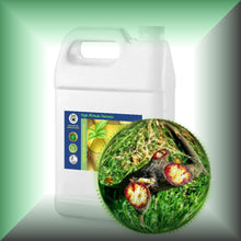 Pure Dragon’s Blood Liquid Resin – Croton Lechleri Sangre de Grado in a Gallon jug, bulk, wholesale size.