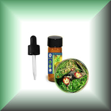 Pure Dragon’s Blood Liquid Resin – Croton Lechleri Sangre de Grado in a glass dram vial.