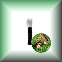 Pure Dragon’s Blood Liquid Resin – Croton Lechleri Sangre de Grado in a glass vial, sample size.