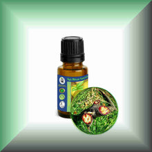 Dragon's Blood (Croton Lechleri & Daemonorops Draco) Oil Blend for Skin Care, Aromatherapy, Anointing, & Meditation