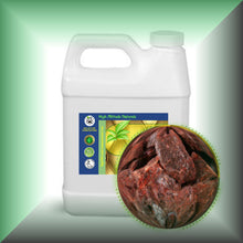 Dragon's Blood (Daemonorops Draco) Essential Oil in a 32 fl oz jug.