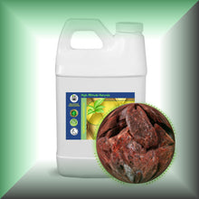 Dragon's Blood (Daemonorops Draco) Essential Oil in a 64 fl oz jug.