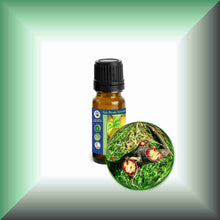Dragon's Blood (Croton Lechleri & Daemonorops Draco) Oil Blend for Skin Care, Aromatherapy, Anointing, & Meditation