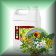 Echoes of the Wild™ Wild Meadow Herbal Body Massage Oil in a gallon jug, bulk, wholesale size.