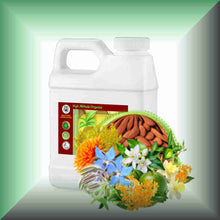 Enchanting Days™ Golden Floral & Osmanthus Body Massage Oil in a 16 fl oz jug.