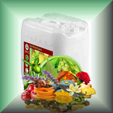 Fall Harvest™ Warm Cinnamon Spice & Amber Body Massage Oil