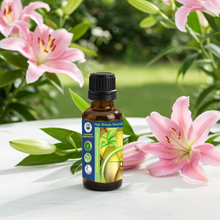 Lily Absolute Oil (Lilium Orientalis)