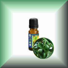 Green mandaring zest essential oil 10ml