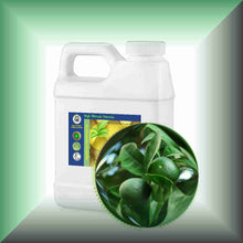 Green mandaring zest essential oil 16oz jug bulk size