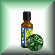 Green mandaring zest essential oil 1 oz