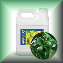 Green mandaring zest essential oil 32 oz jug buk size
