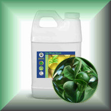 Green mandaring zest essential oil 64oz jug bulk size