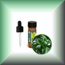 Green mandaring zest essential oil dram