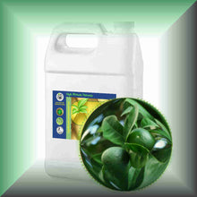 Green mandaring zest essential oil 1 gallon bulk size