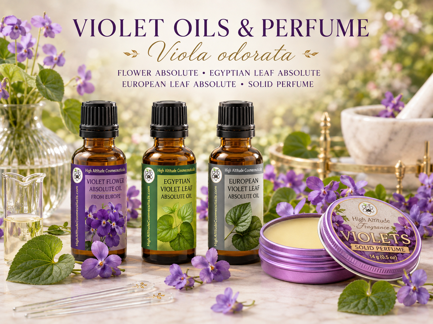 Violet Oils & Perfume | Flower & Leaf Absolutes