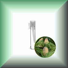 Himalayan Cedarwood Essential Oil (Cedrus deodara) – Aromatherapy, Skin Care & Perfumery in a glass vial, sample size.